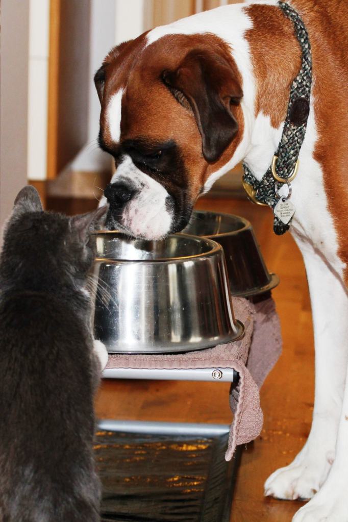 This image has an empty alt attribute; its file name is 335514_2649825724077_1524383793_o.jpg